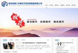 揭西城市开发投资集团有限公司